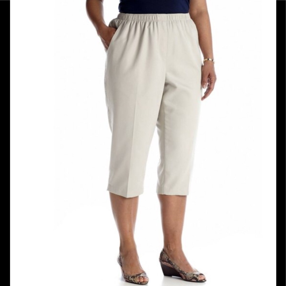 Kim Rogers Pull On Stretch Capri (NWT)